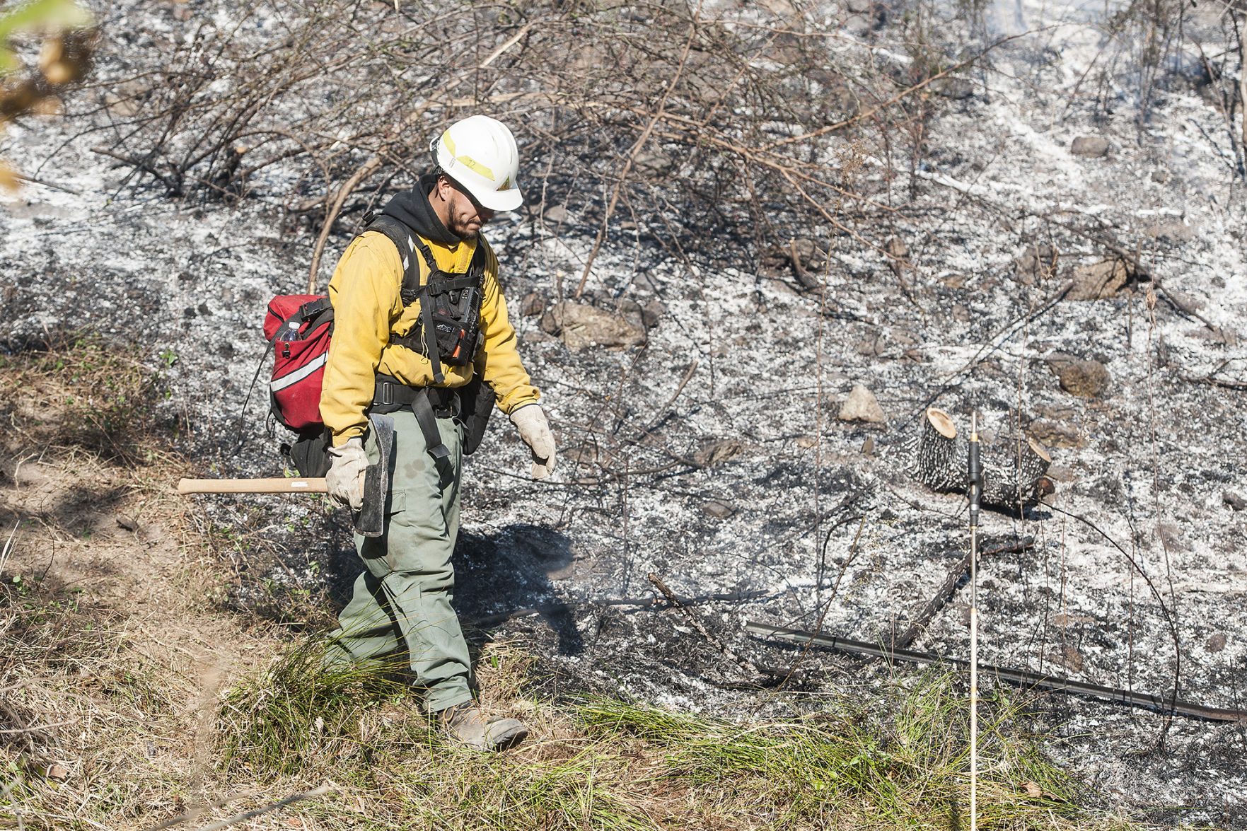 LNA 11212016 Forest Fire 28